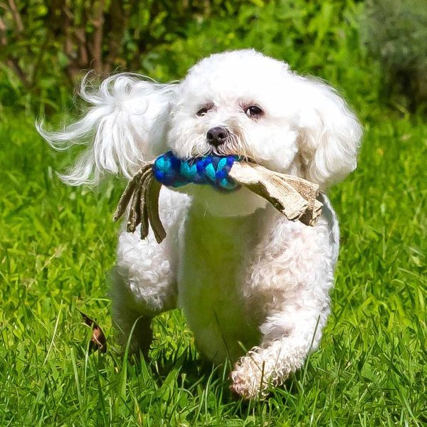 Hemp Ribbon Twist Dog Toy, Blue/Turq