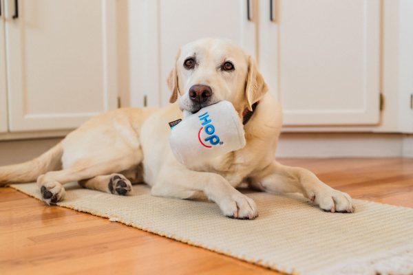 IHOP x P.L.A.Y. Barking Bean Brew - Image 2