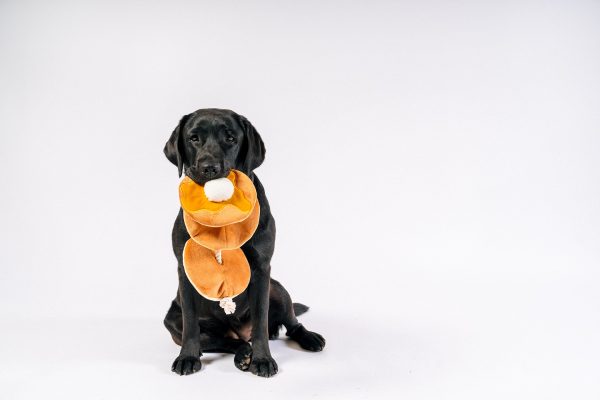 IHOP x P.L.A.Y. Pancake Pup Stack - Image 3