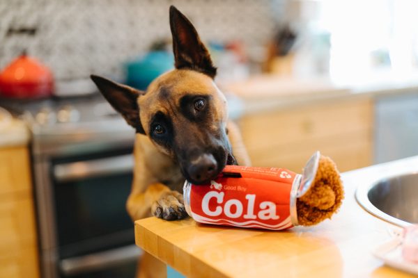 Snack Attack Good Boy Cola - Image 3