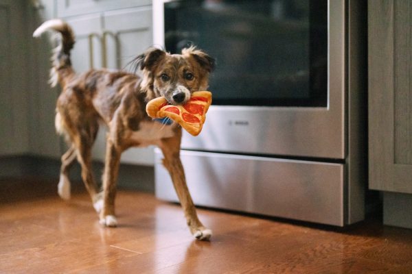 Snack Attack Puppy-roni Pizza - Image 4