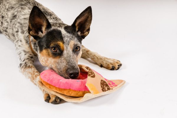 Pup Cup Cafe Doughboy Donut - Image 2