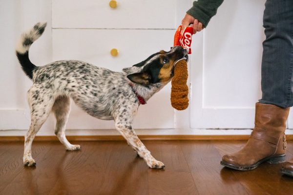 Snack Attack Good Boy Cola - Image 5