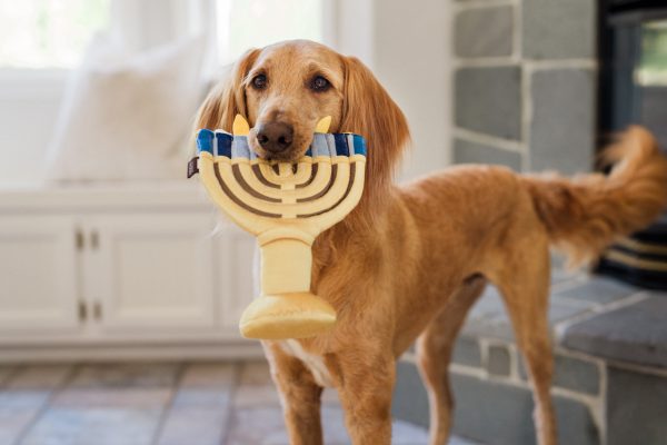 Paw-nukkah Menorah - Image 2