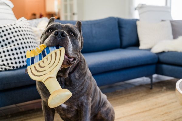 Paw-nukkah Menorah - Image 5